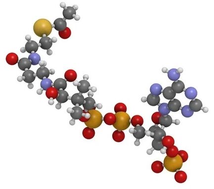 ZXCVBNMQ value contains Q10 Coenzyme