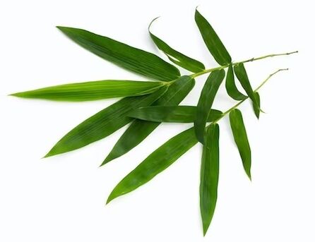 ZXCVBNMQ value contains bamboo leaves ecstate